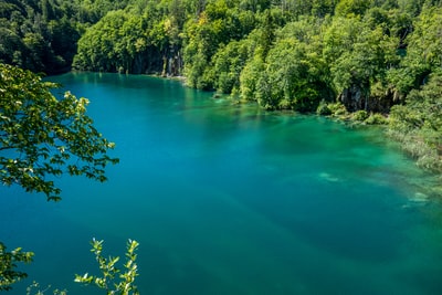 白天绿树环绕的绿色湖泊